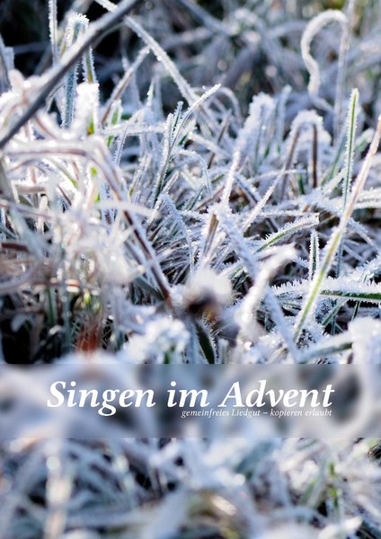 Cover von "Singen im Avent"